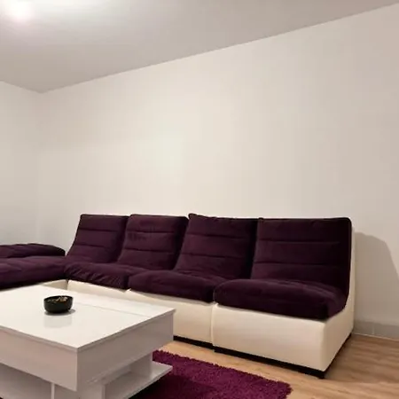 Alle * 蒂米什瓦拉