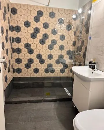 公寓 Alle 蒂米什瓦拉